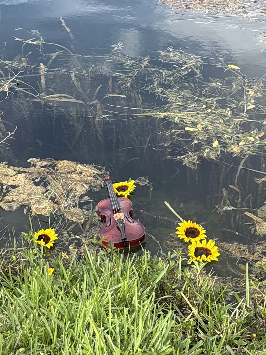 A violin floating in the river among sunflowers